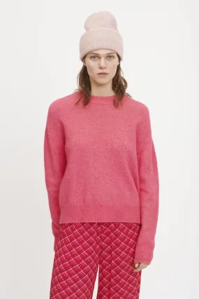 Anour Jumper, Raspberry