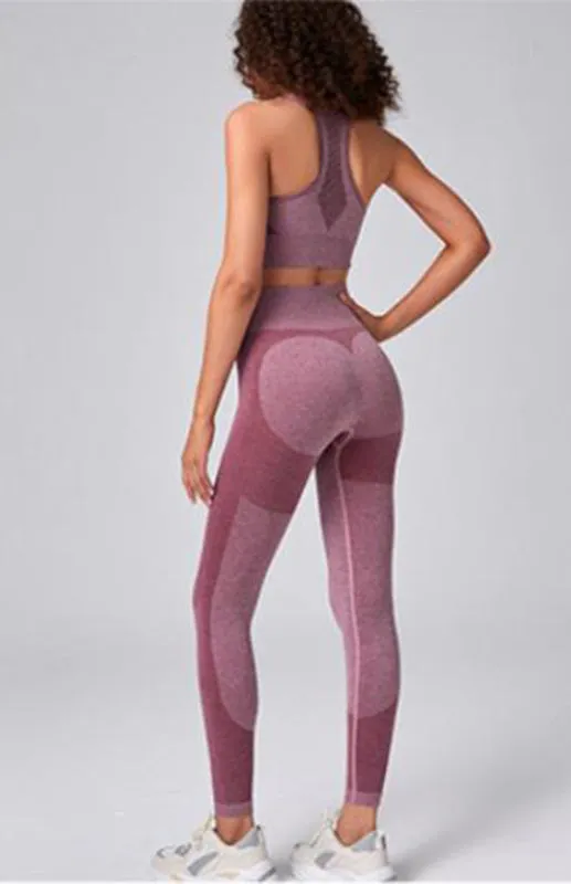 Fernanda Women's Seamless Mesh Quick Dry Bra Yoga Set