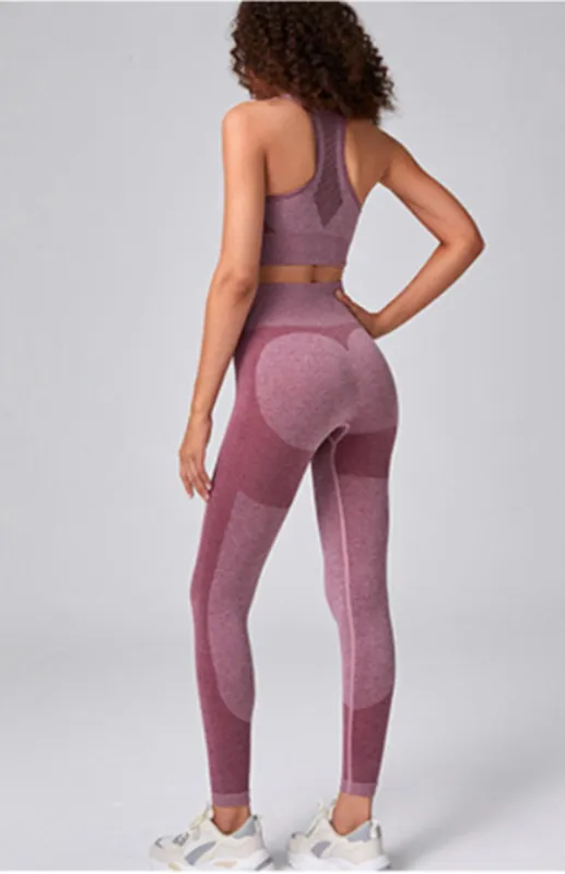 Fernanda Women's Seamless Mesh Quick Dry Bra Yoga Set