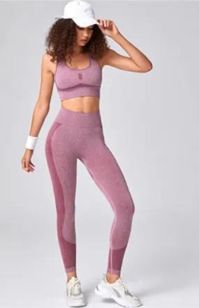 Fernanda Women's Seamless Mesh Quick Dry Bra Yoga Set