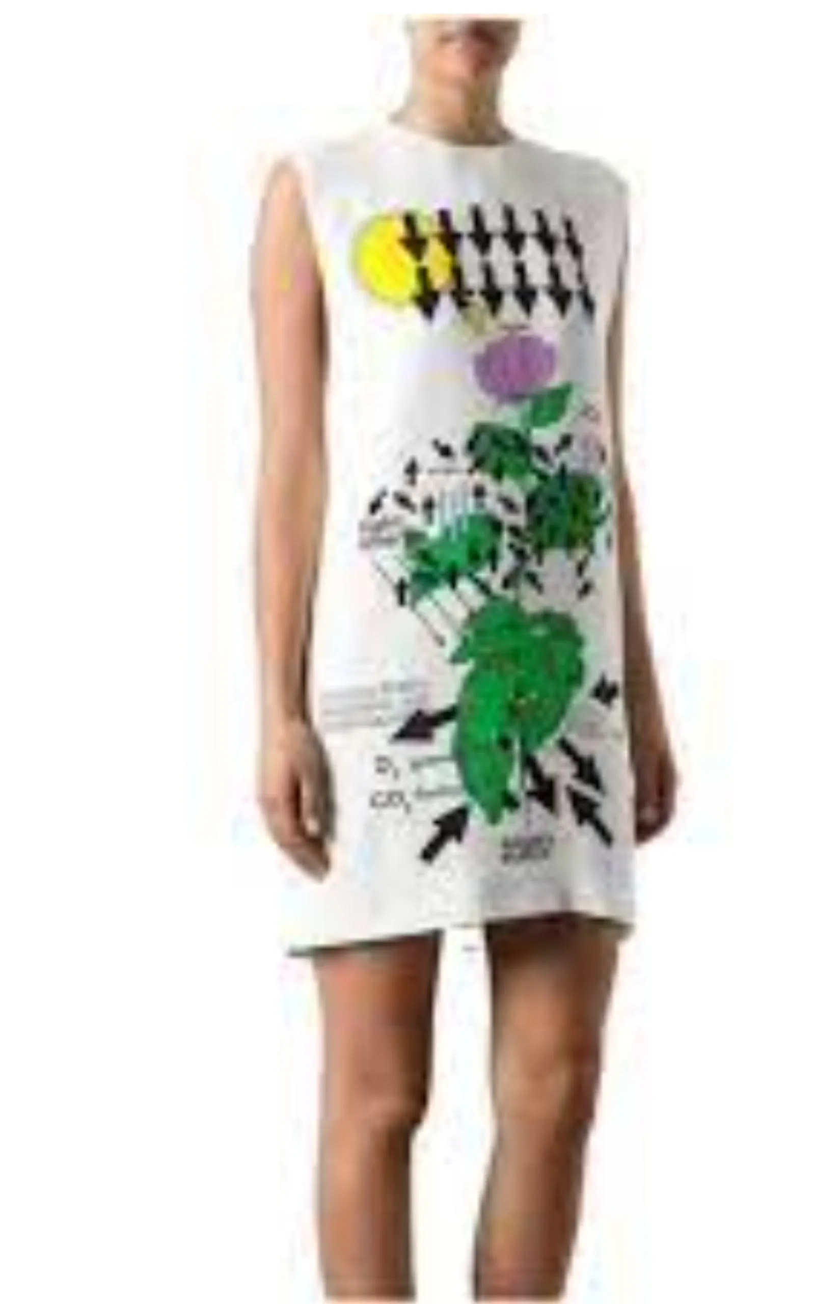 White Silk Botanical Diagram Dress